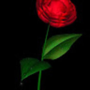 Meet your Posher, Shahid